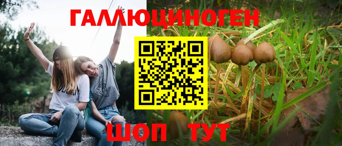 Торжок  Галлюциногенные грибы Magic Shrooms  Вход с VPN 