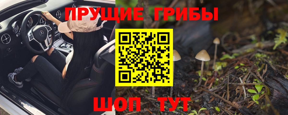 Псилоцибиновые грибы Magic Shrooms Торжок